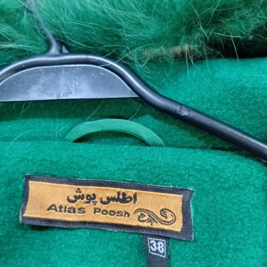 پالتو