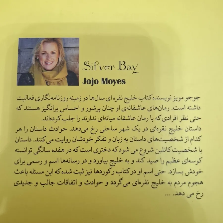 کتاب خلیج نقره ای