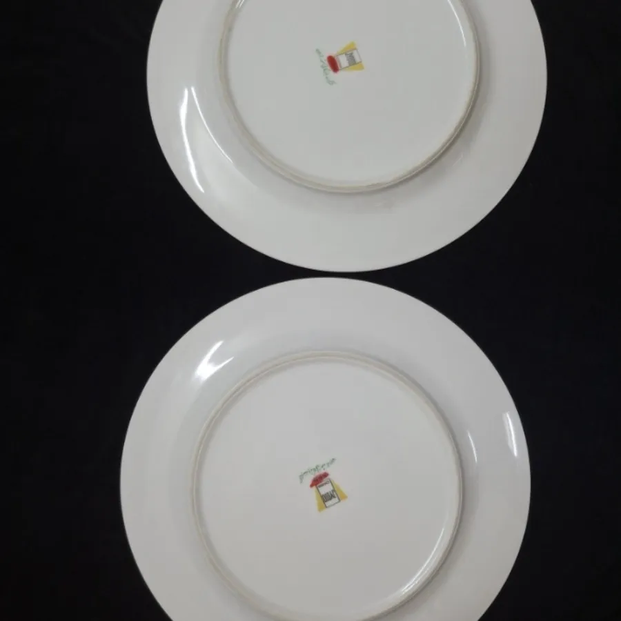 بشقاب بزرگ ژاپن