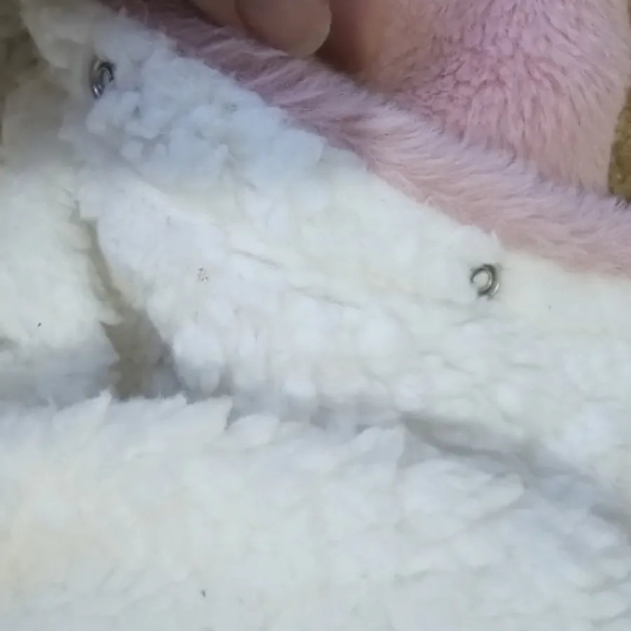 سرهمی خز