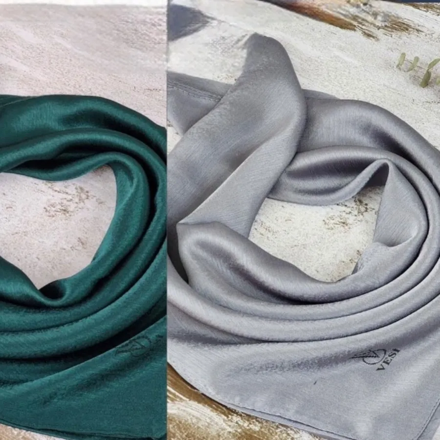 ذوسری مجلسی