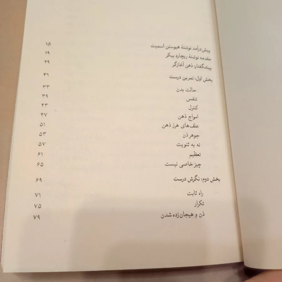 ذهن ذن ، ذهن آغازگر