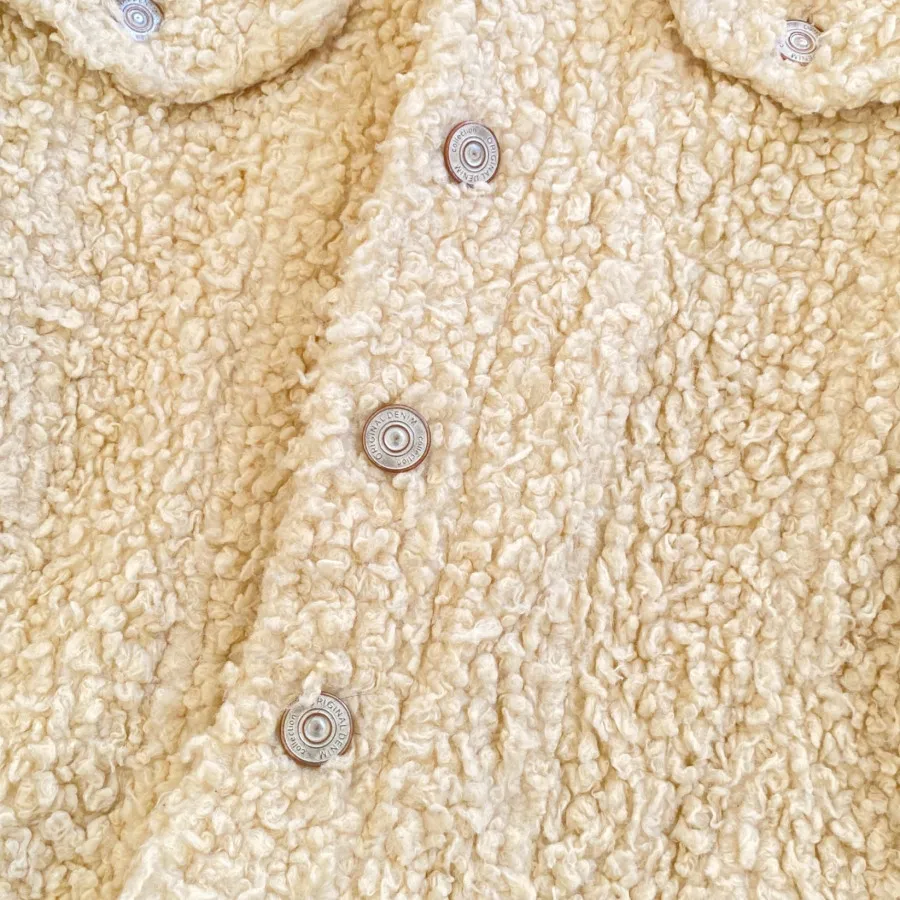 کت تدی