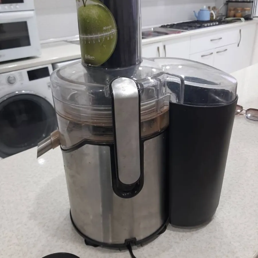آبمیوه گیری فلر