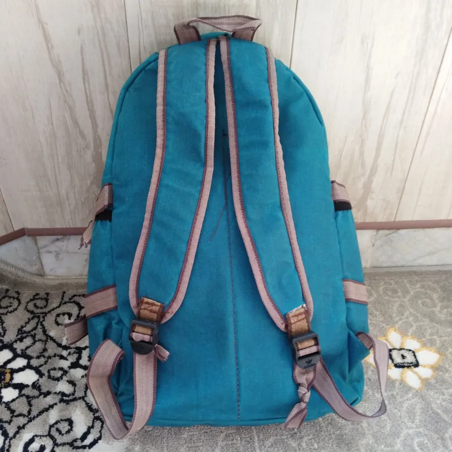 کوله‌پشتی چرمی
