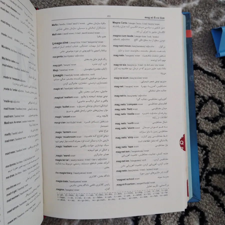 دیکشنری
