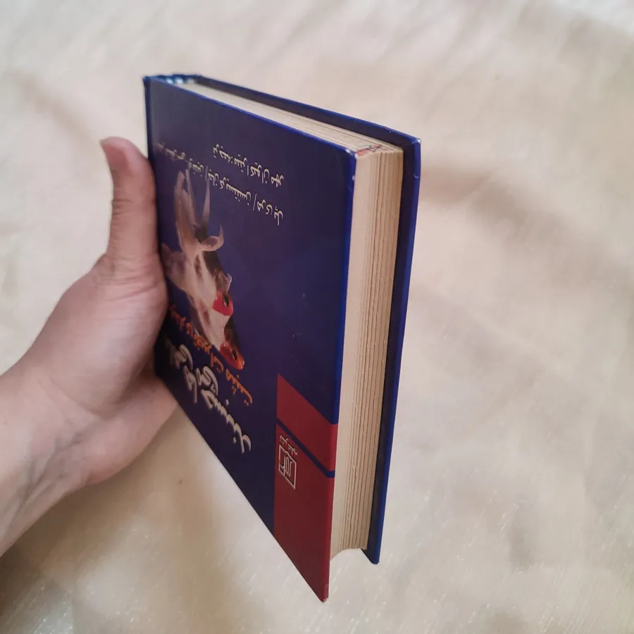 کتاب ماهی ها میچسبند
