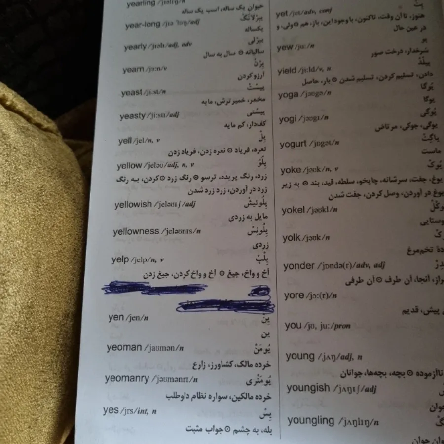 دیکشنری