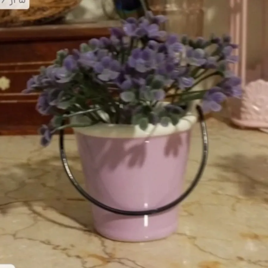 گلدان های مینیاتوری سطلی