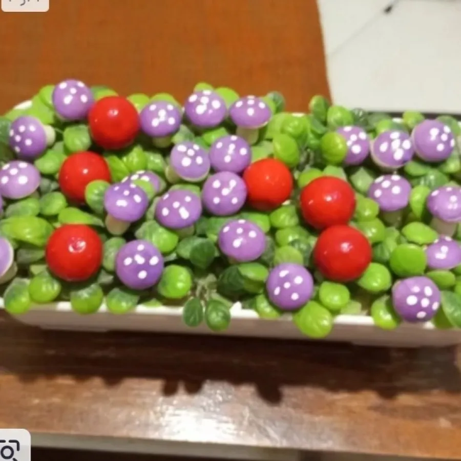 گلدان قارچ و گوجه