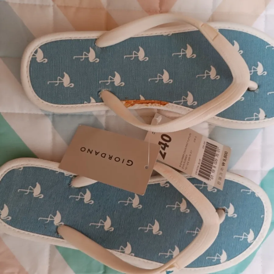 صندل giordano