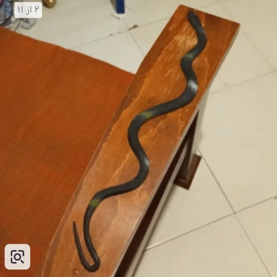 فیگور بزرگ مار خزنده