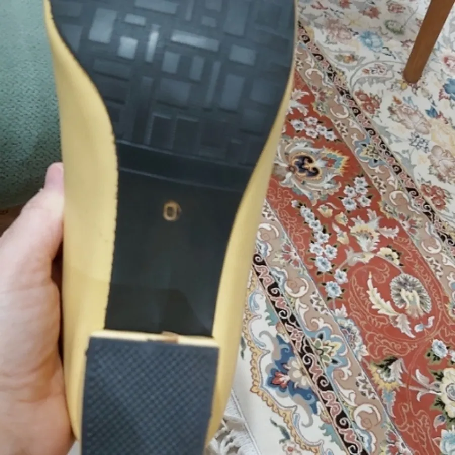 کفش مجلسی