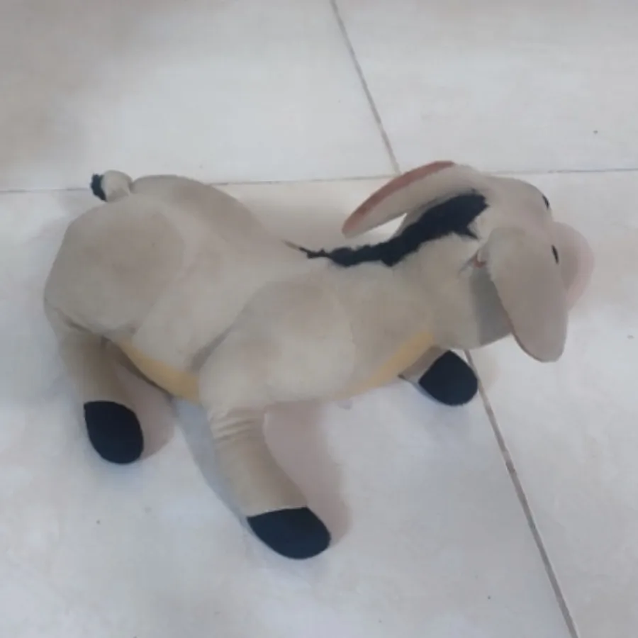 الاغ خوابیده