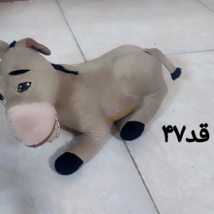 الاغ خوابیده