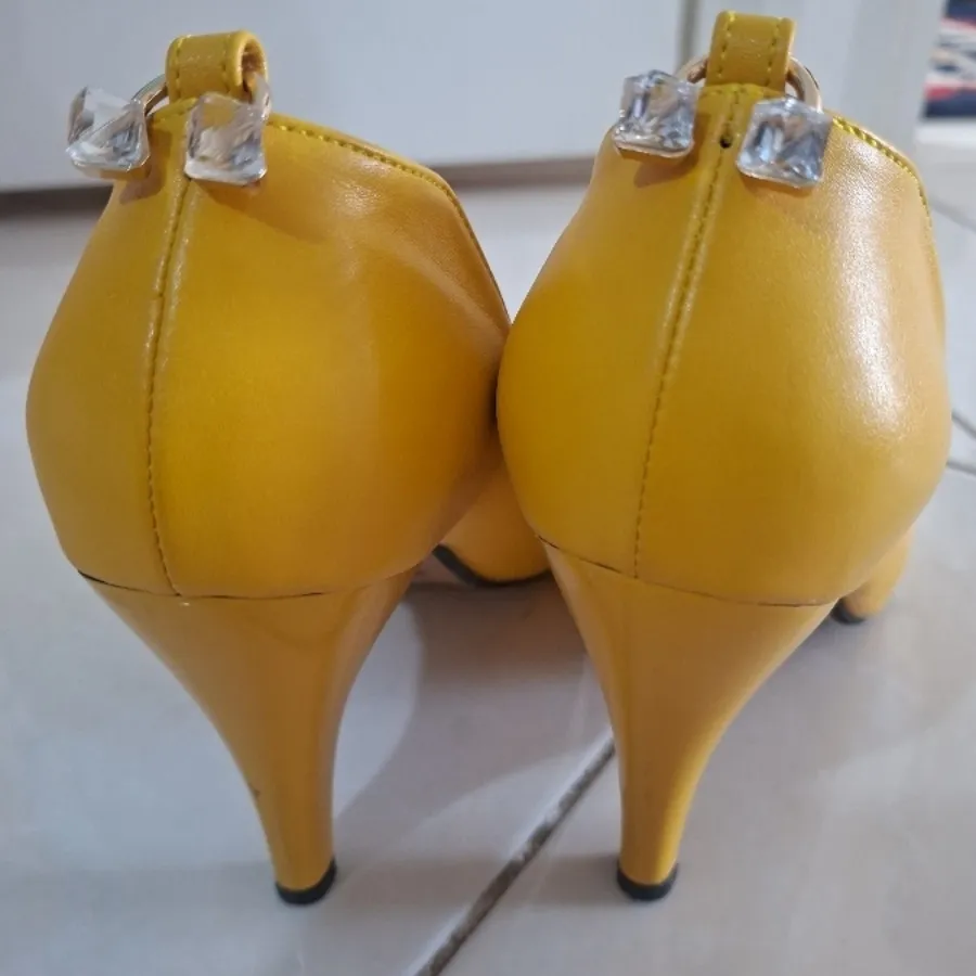 کفش مجلسی
