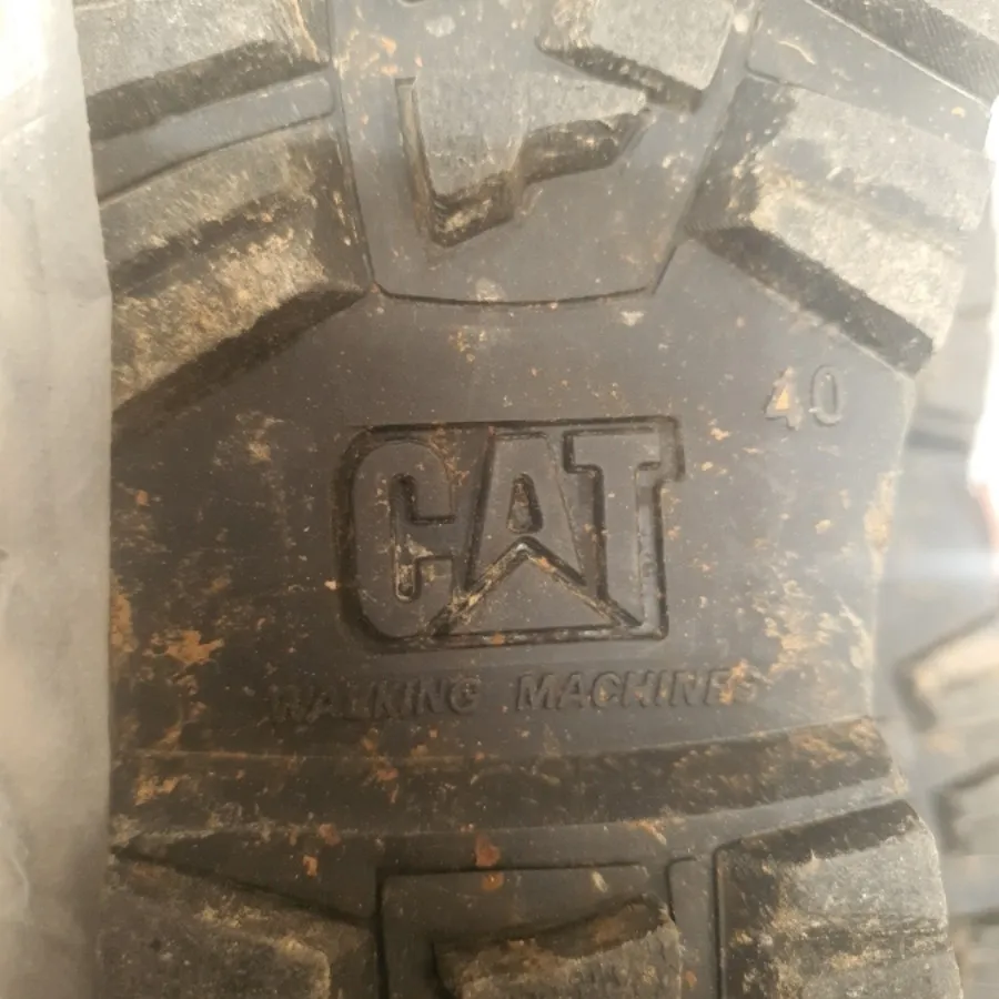 کفش cat