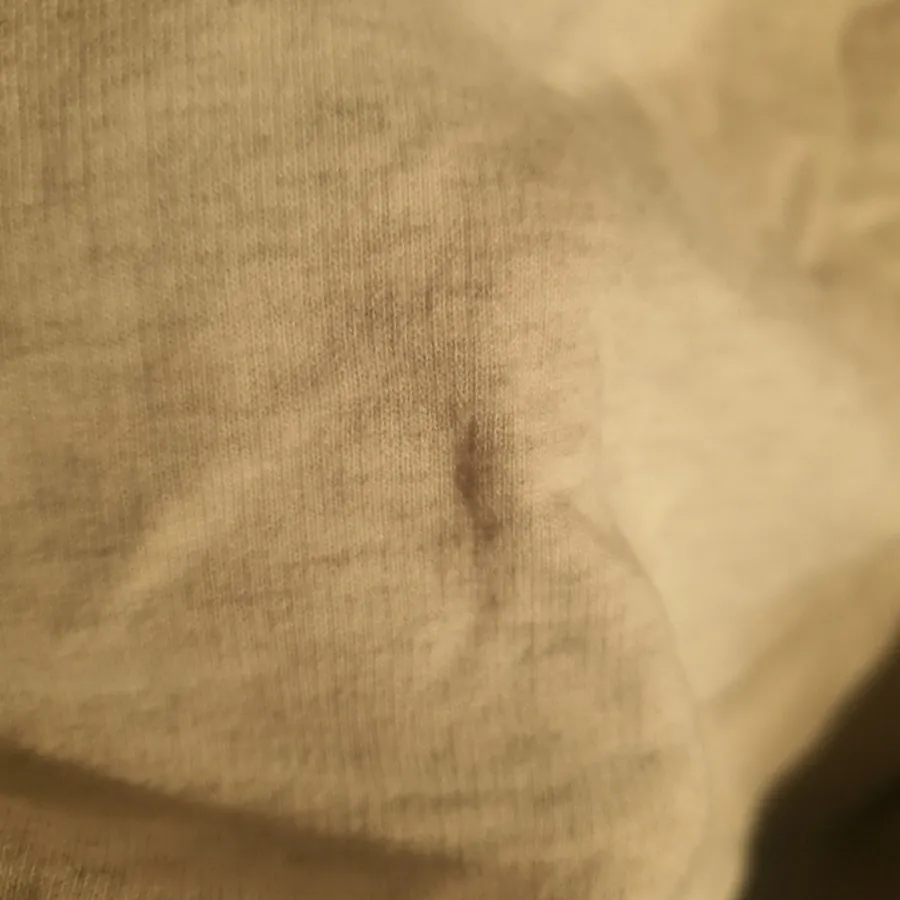سویشرت