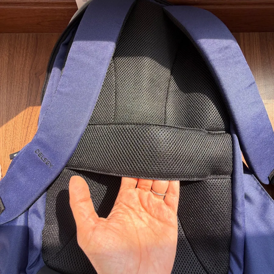 کوله پشتی اصل دلسی پاریس