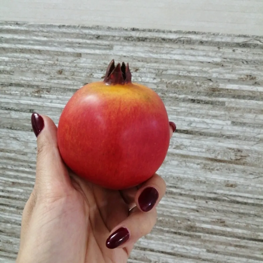 میوه های دکوری