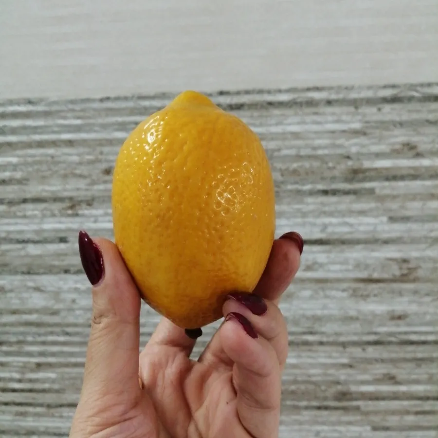 میوه های دکوری