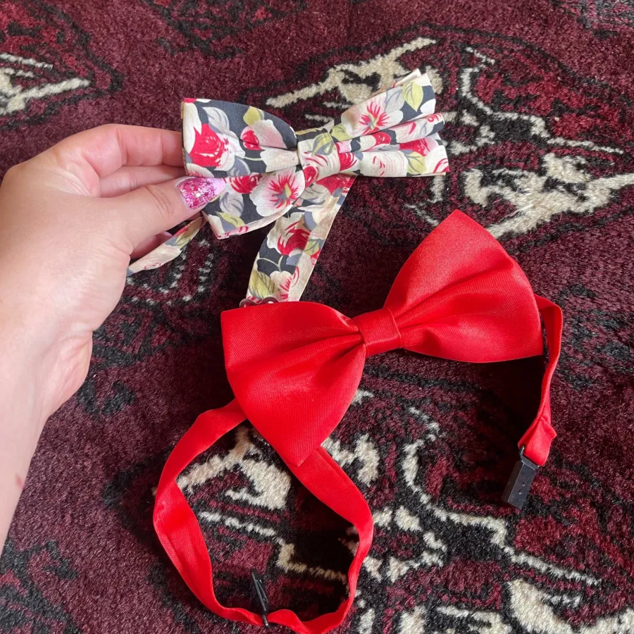 دوتا پاپیون