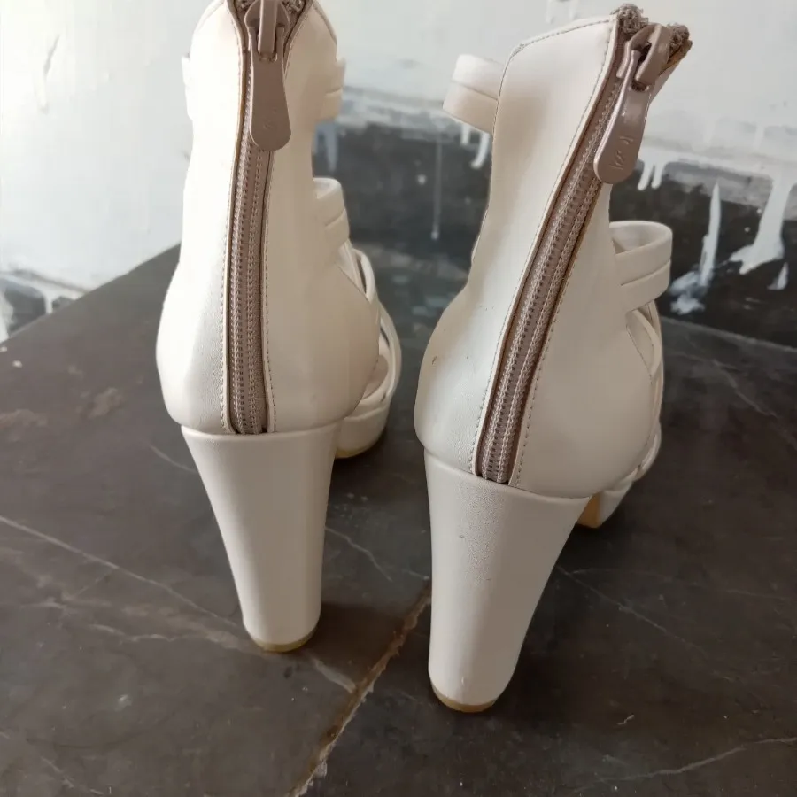 کفش مجلسی