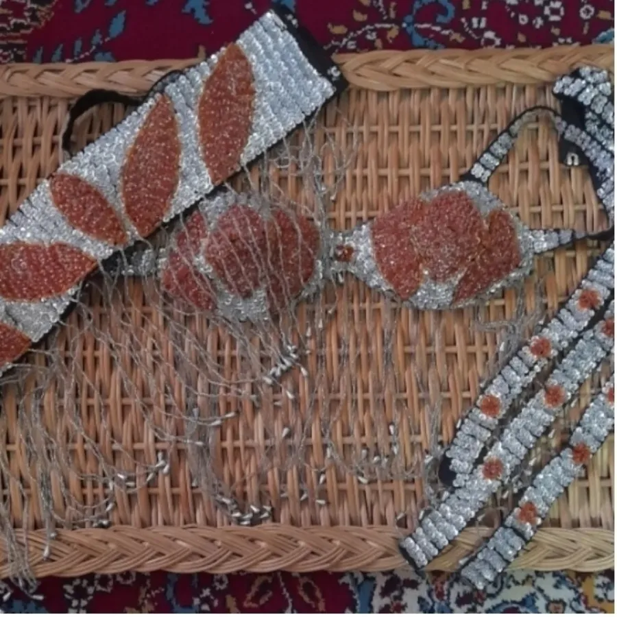 ست زنونه