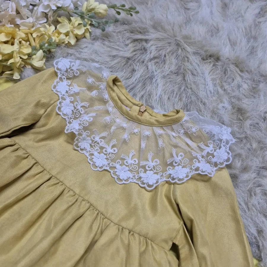 مجلسی