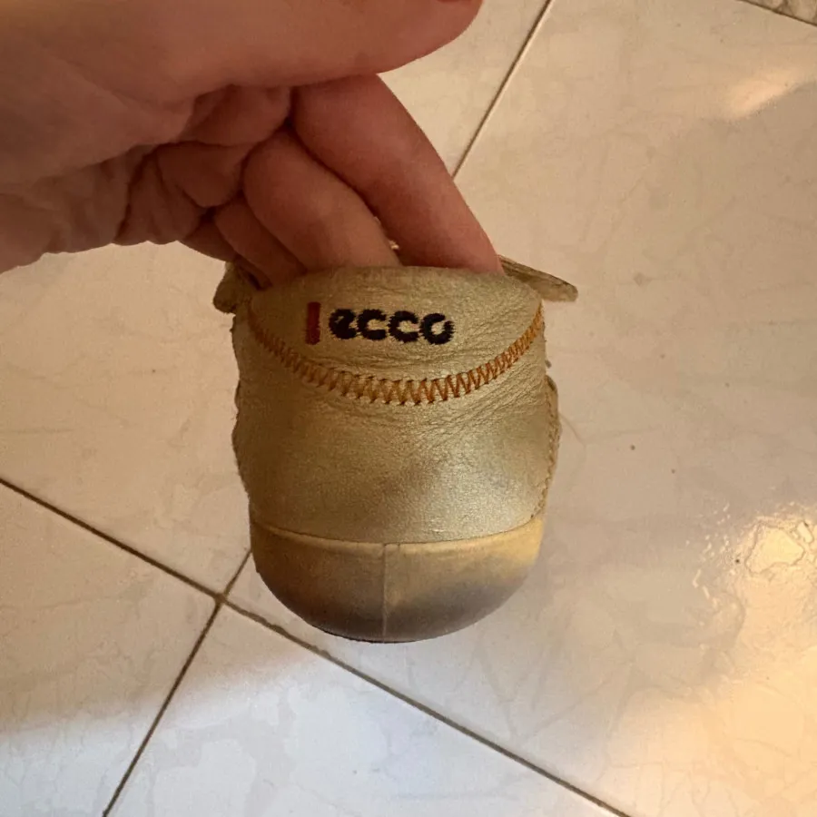 بابت ecco