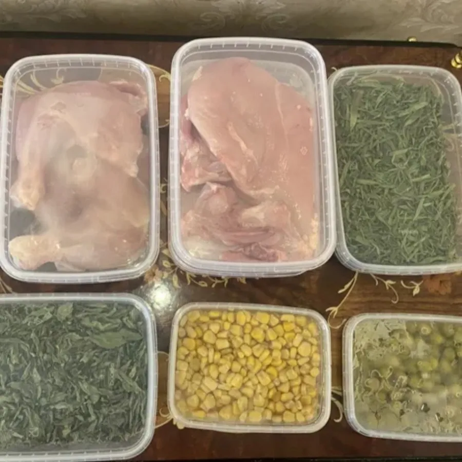 ظرف غذا مشکی
