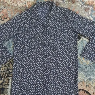 شومیزنخی