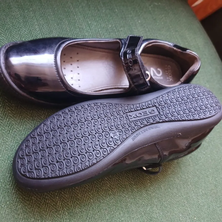 کفش geox