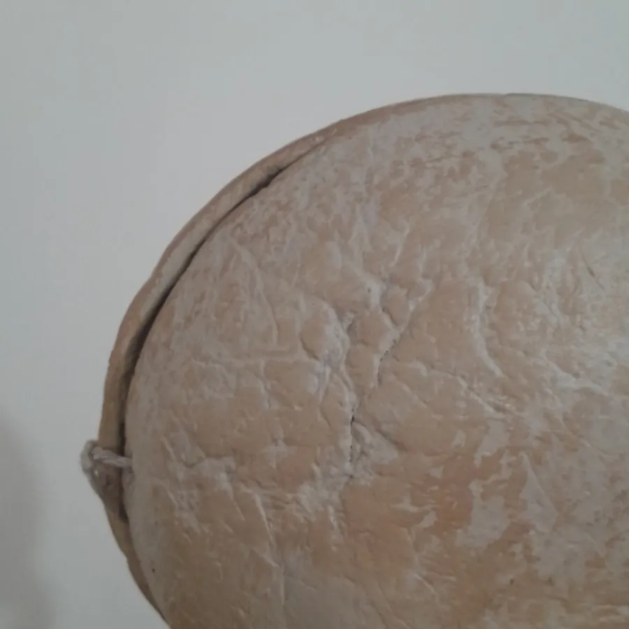 گلدان