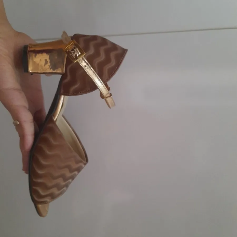 کفش مجلسی