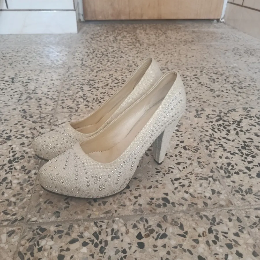 کفش مجلسی