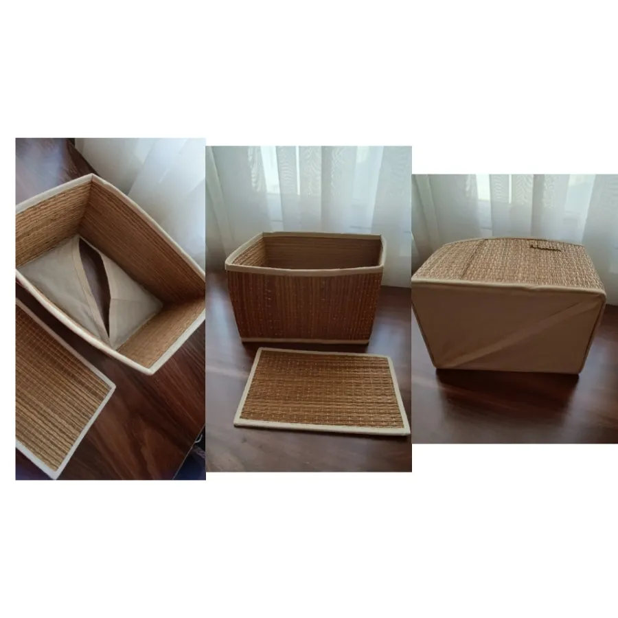 ارگانایزر/نظم دهنده ایکیا