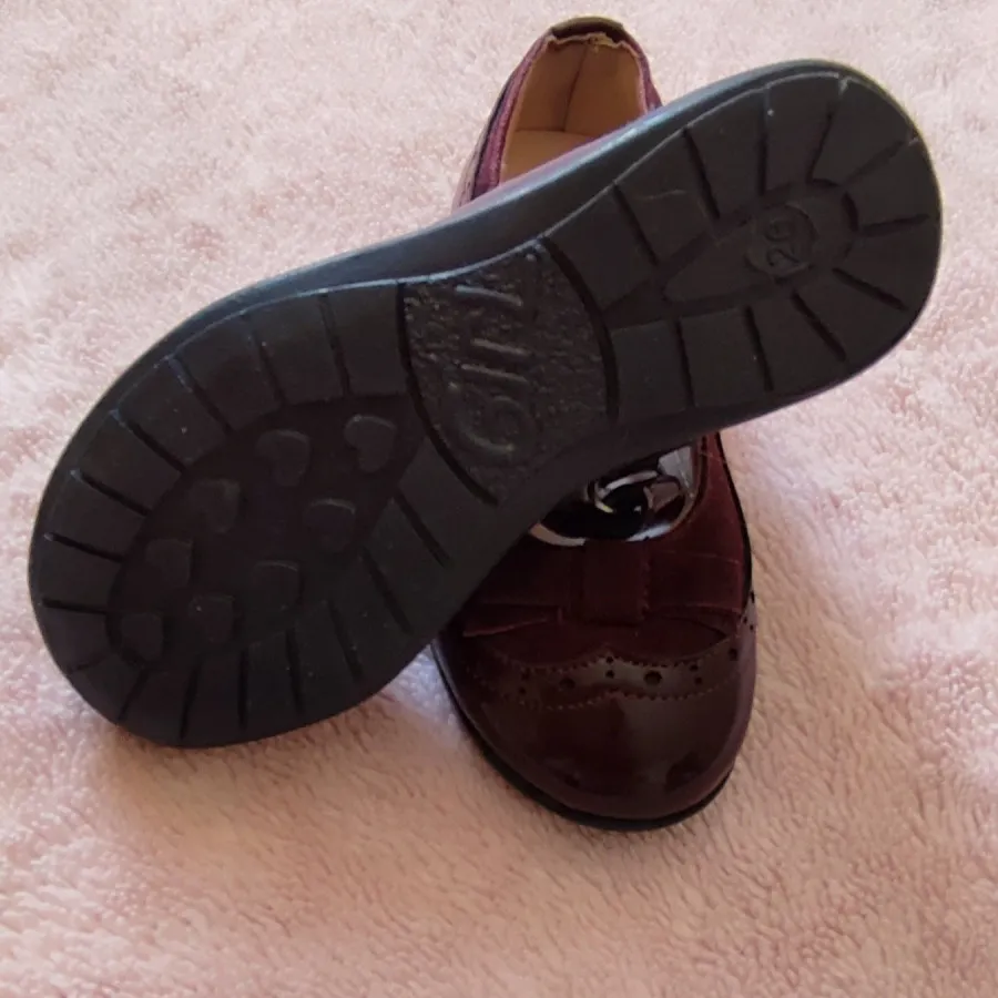 کالج زرشکی