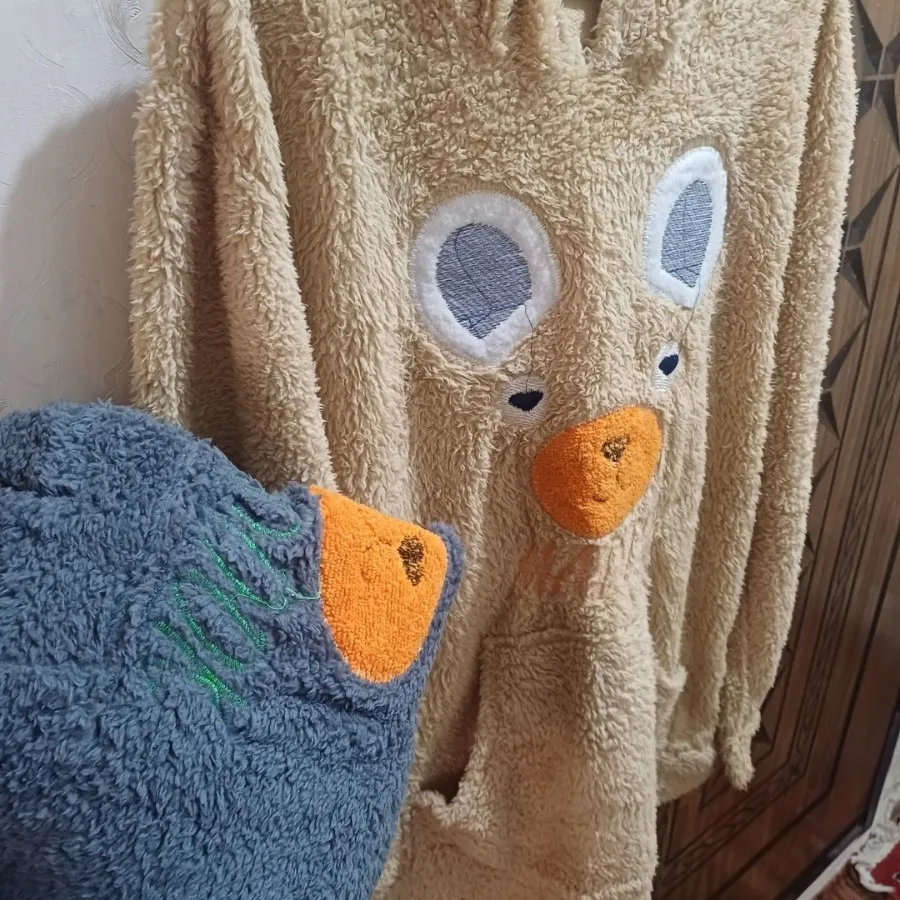هودی تدی