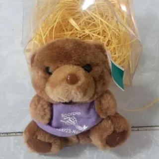 عروسک جاسوییچی