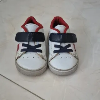 کفش اسپرت