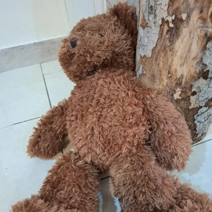 خرس قهوه ای