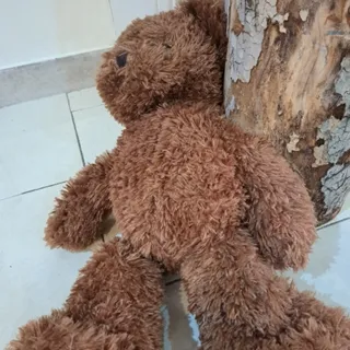 خرس قهوه ای