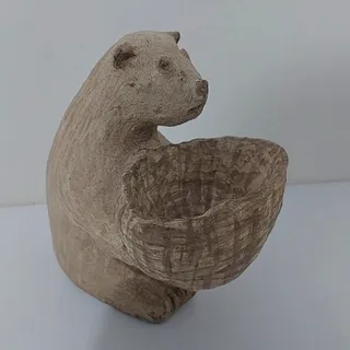 نظم دهنده  خاص