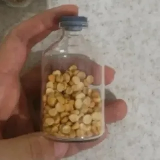 بطری