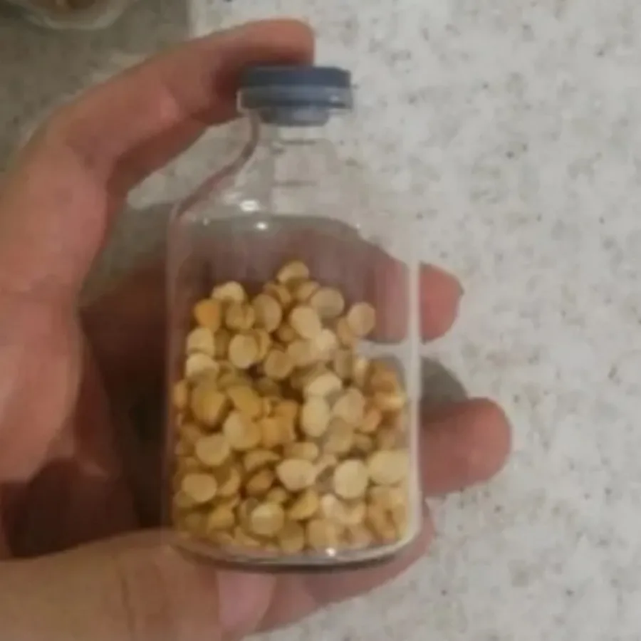 بطری