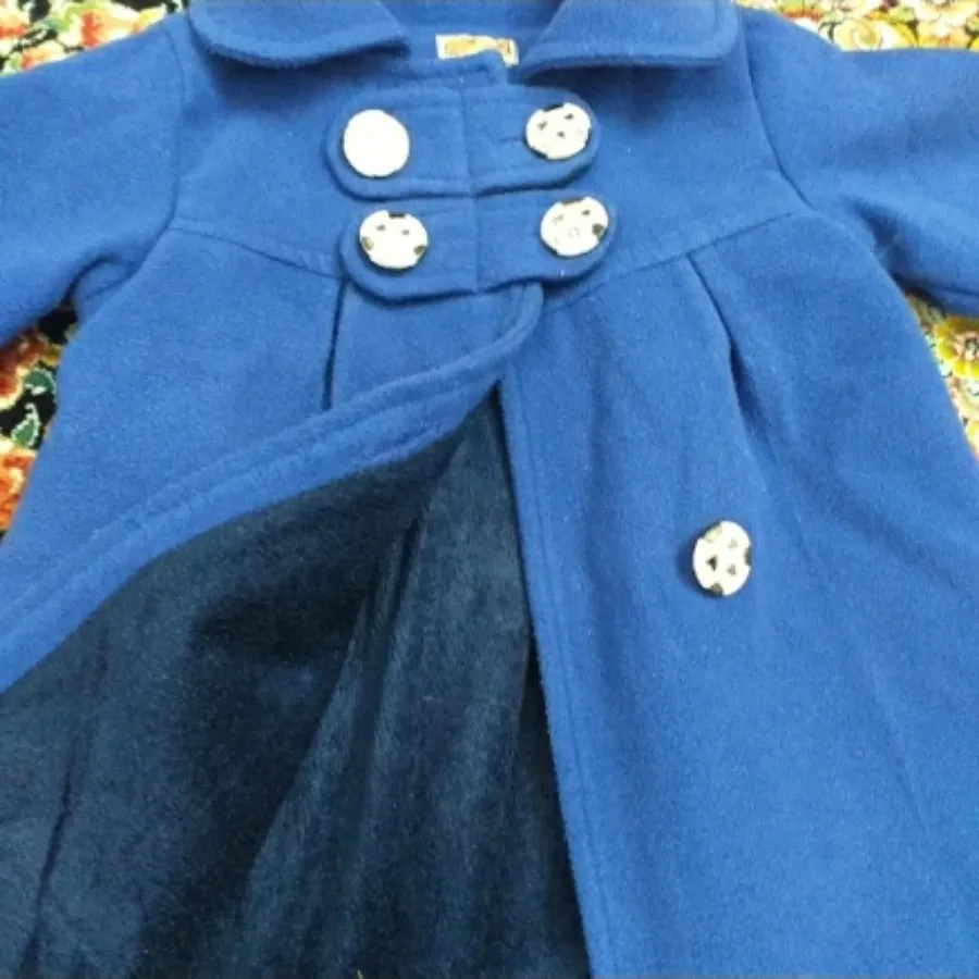 پالتو