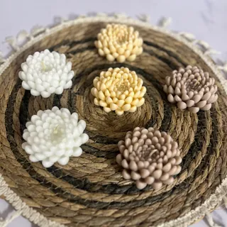 شمع گل داوودی