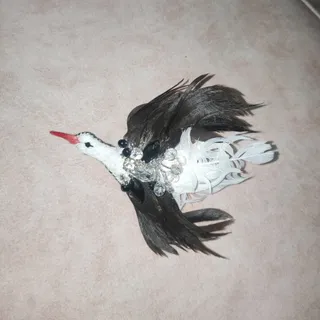گل سینه پرنده