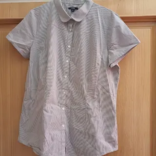 شومیز